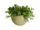 Doniczka scienna PT pot Globe olive zielony 
