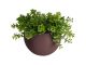 Doniczka scienna PT pot Globe purpurowy 