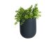 Doniczka scienna PT pot Oval granatowy 
