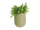 Doniczka scienna PT pot Oval olive zielony 