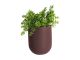 Doniczka scienna PT pot Oval purpurowy 