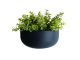 Doniczka scienna PT pot Oval granatowy 