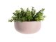 Doniczka ścienna pot Oval wide ceramiczna matt jasny różowy