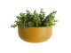 Doniczka ścienna pot Oval wide ceramiczna matt ochre
