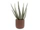 Doniczka Stripes cement small clay brown PT