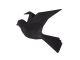 Wall hanger origami bird czarny PT