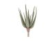 Sztuczna roślina Aloes PT