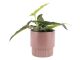 Plant pot Ribbed medium matt faded pink Present Time