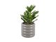 Doniczka Bobbly Glazed ceramic small light szary Present Time