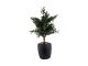 Vase Dex iron textured black