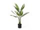 Roślina sztuczna Calathea zielona w. biały Present Time