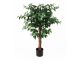 Roślina sztuczna Figowiec Ficus Present Time