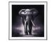 Fotografia Elephant, szkło czarno-białe pt