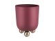 Roślina dekoracyjna pot Estilo medium dark mauve Present Time